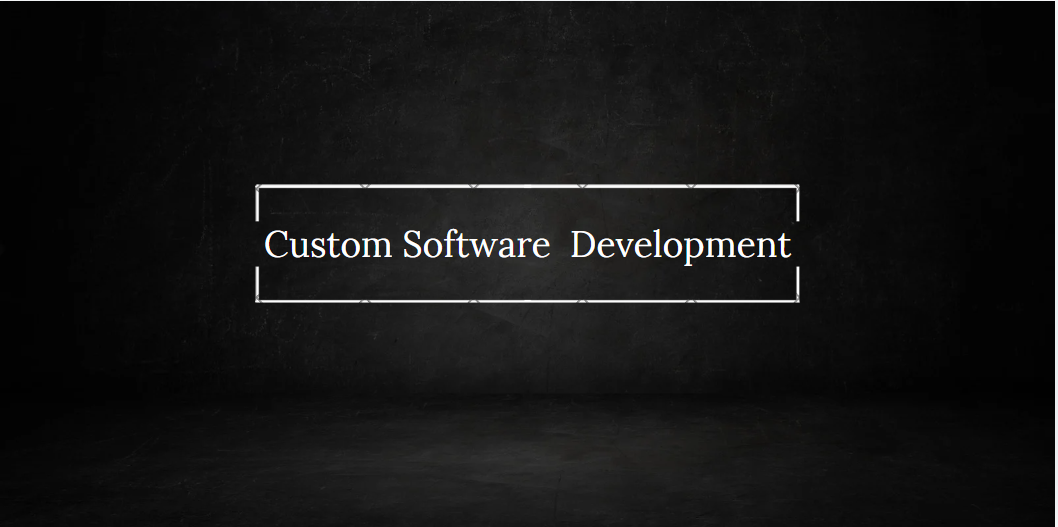 Custom software development